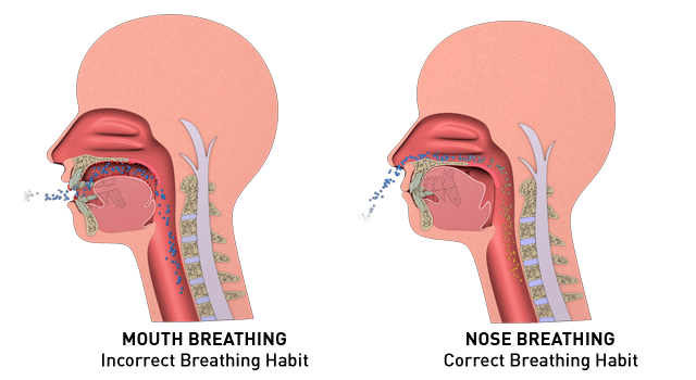 Mouth Breathing V Nose Breathing